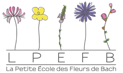 LPEFB logo 250tr