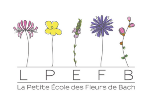 LPEFB logo 650 LPEFB logo