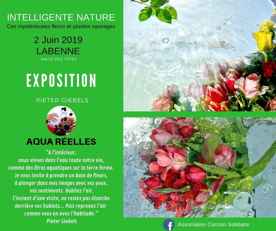 LPEFB Expo Aquaréelles