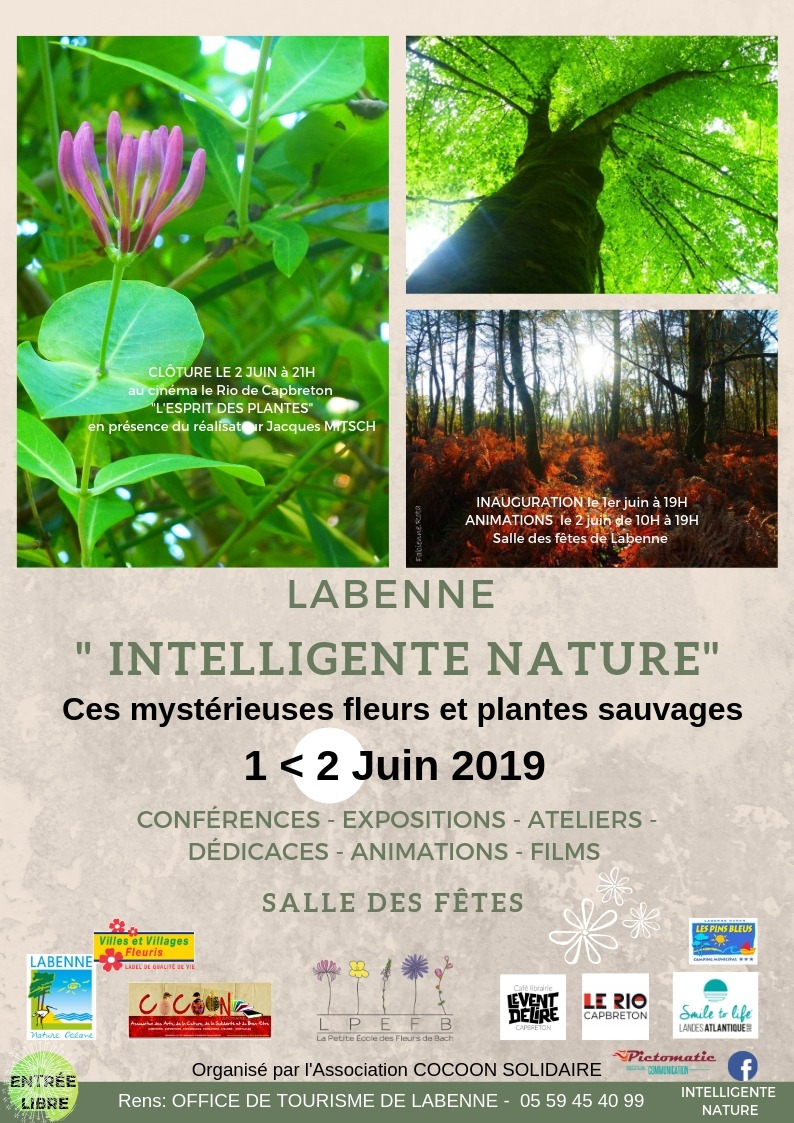LPEFB Intelligente Nature 2019