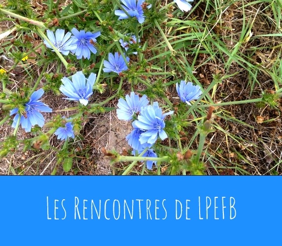 LPEFB Rencontres LPEFB Rencontres