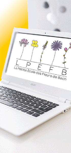 Cours LPEFB