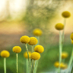 Cycle éternel Cycle éternel