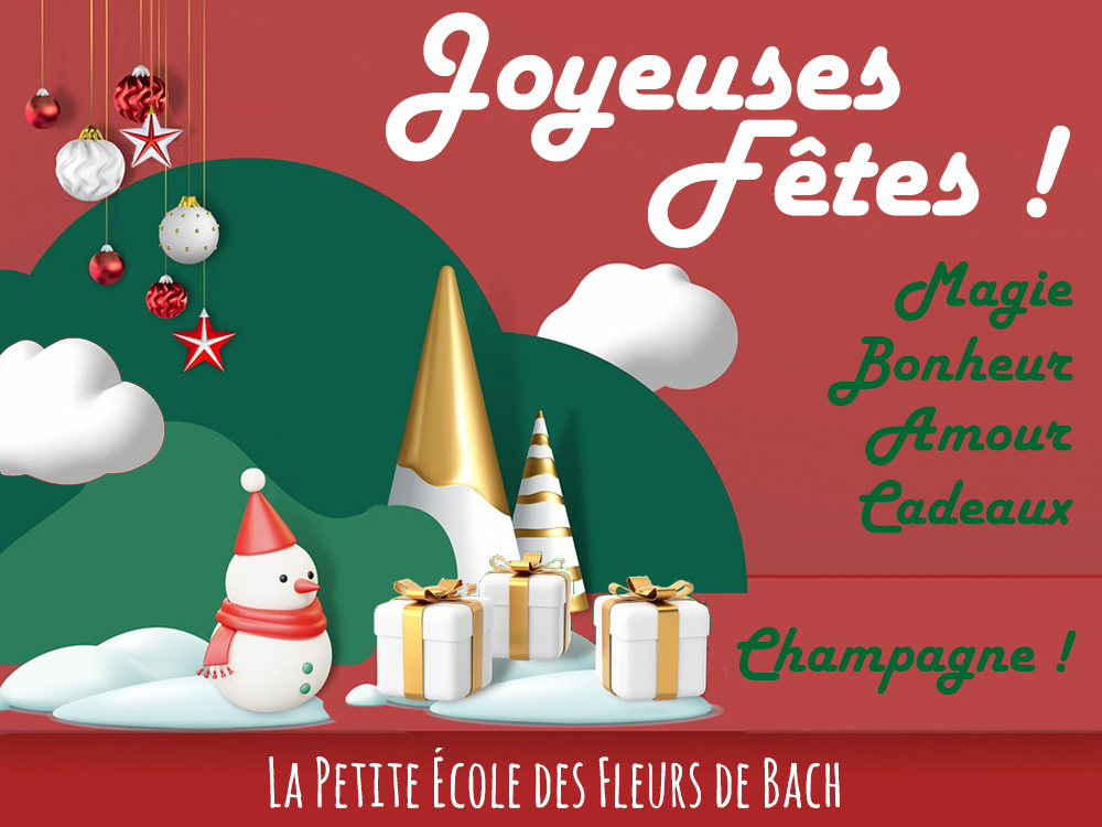 Joyeuses Fêtes Joyeuses Fêtes