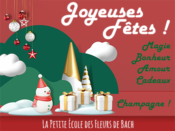 Joyeuses Fêtes Joyeuses Fêtes
