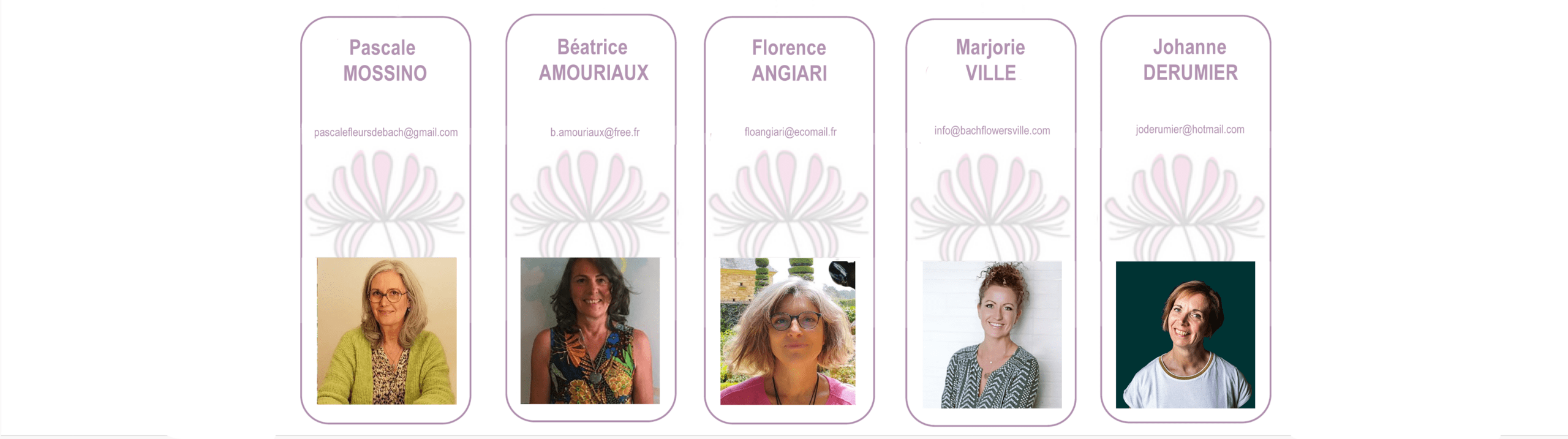 Formateurs Formateurs