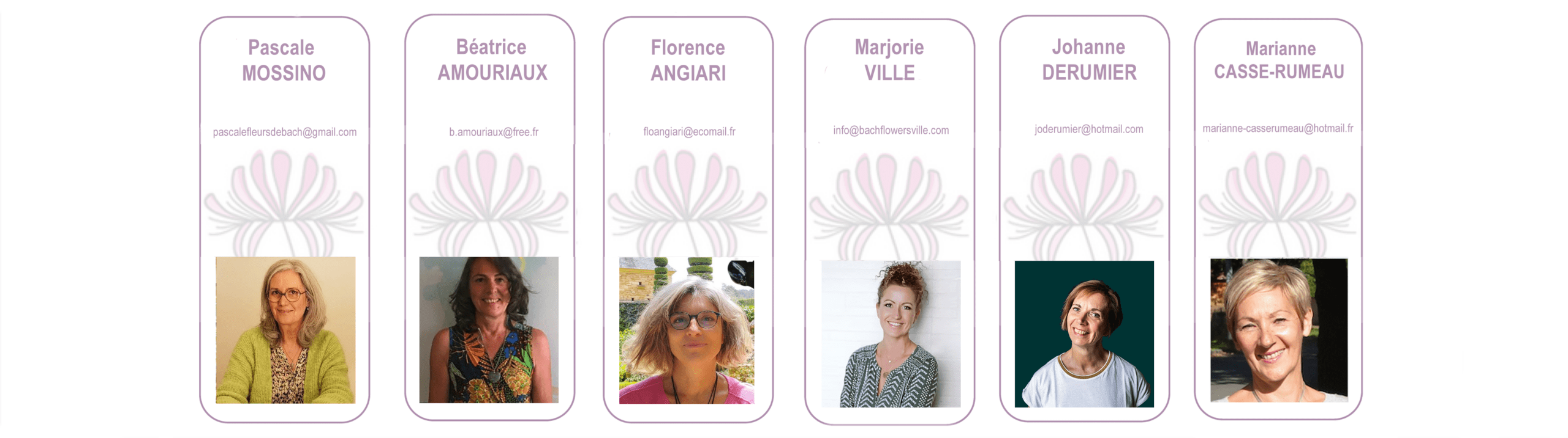 Formateurs Formateurs