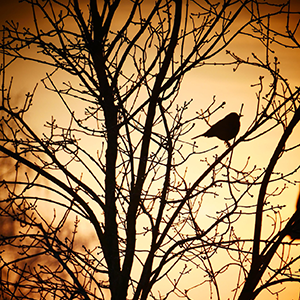 Se laisser surprendre Se laisser surprendre