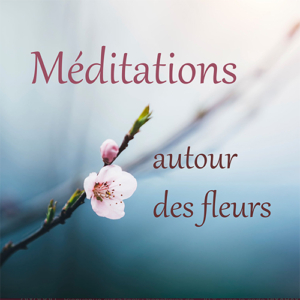 Méditations